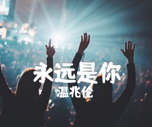 《永远是你吉他谱》_温兆伦_G调 图片谱2张