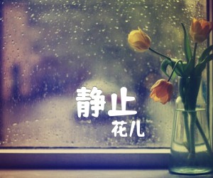 《静止吉他谱》_花儿_G调_吉他图片谱1张