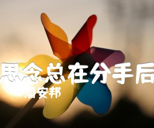 《思念总在分手后吉他谱》_潘安邦_C调 图片谱2张