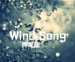 《Wind Song吉他谱》_押尾桑_D调 图片谱2张