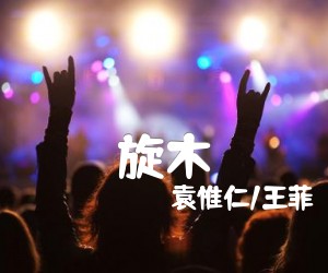 《旋木吉他谱》_袁惟仁/王菲_C调 图片谱1张