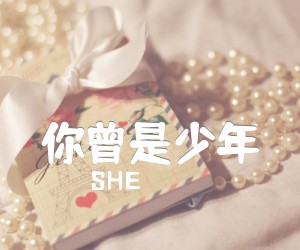 《你曾是少年吉他谱》_SHE_G调_吉他图片谱4张