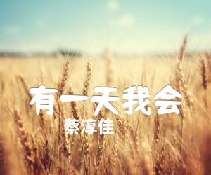 《有一天我会吉他谱》_蔡淳佳_C调 图片谱1张