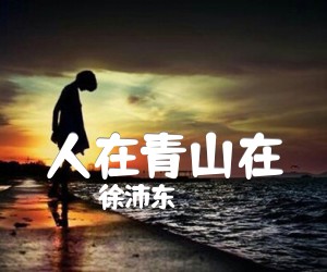 《人在青山在吉他谱》_徐沛东_B调 图片谱1张