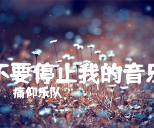 《不要停止我的音乐吉他谱》_痛仰乐队_C调 图片谱2张