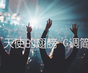 《安琥 天使的翅膀 G调简单版吉他谱》_群星_G调 图片谱1张