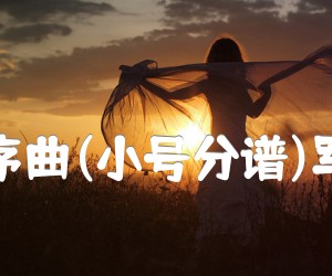 《卡门序曲(小号分谱)军乐曲吉他谱》_比才_B调 图片谱1张