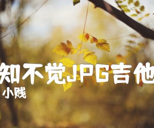 《不知不觉JPG吉他谱吉他谱》_小贱 图片谱4张