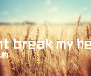 《Dont break my heart吉他谱》_黑豹 文字谱