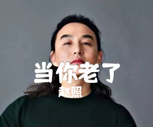 《当你老了吉他谱》_赵照_D调 图片谱6张