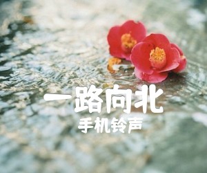 《一路向北》