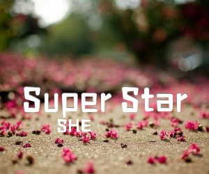 《Super Star吉他谱》_SHE_D调_吉他图片谱2张