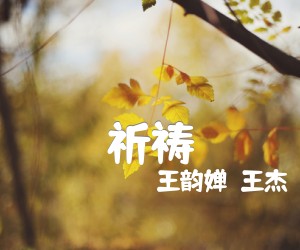 《祈祷吉他谱》_王韵婵  王杰_C调 图片谱1张