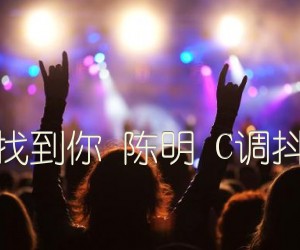 《我要找到你 陈明 C调抖音版吉他谱》_群星_C调_吉他图片谱2张