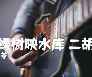 《蓝天绿树映水库 二胡曲谱吉他谱》_金月苓_吉他图片谱1张