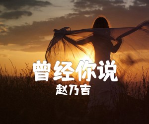 《曾经你说吉他谱》_赵乃吉 图片谱2张