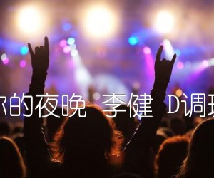 《在每个想你的夜晚 李健 D调玩易乐器版吉他谱》_群星_D调 图片谱1张