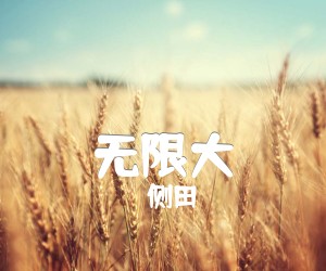 《无限大吉他谱》_侧田_C调 图片谱2张