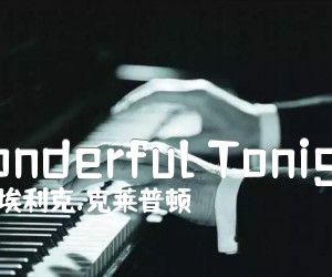 《Wonderful Tonight吉他谱》_埃利克.克莱普顿 图片谱1张