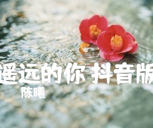 《遥远的你 抖音版吉他谱》_陈曦 图片谱3张