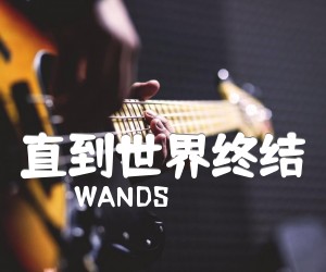 《直到世界终结吉他谱》_WANDS 图片谱2张