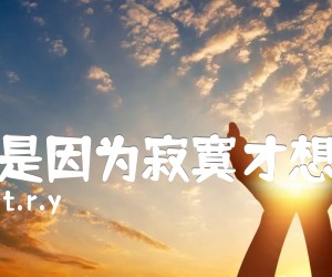 《不是因为寂寞才想你吉他谱》_t.r.y_F调_吉他图片谱3张