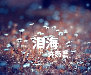 《泪海吉他谱》_许茹芸_C调 图片谱1张