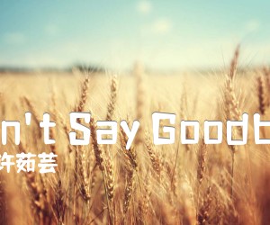 《Don't Say Goodbye吉他谱》_许茹芸_F调 图片谱2张