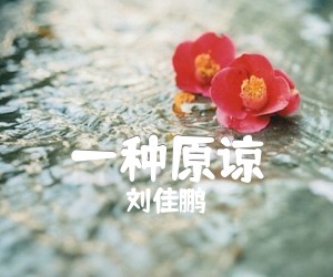 《一种原谅吉他谱》_刘佳鹏_B调 图片谱3张