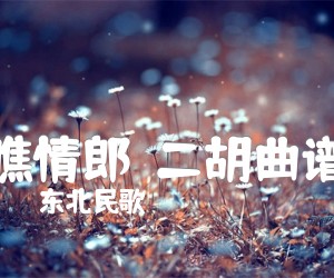 《瞧情郎  二胡曲谱吉他谱》_东北民歌_A调 图片谱1张