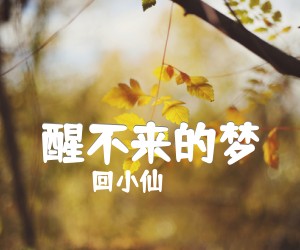 《醒不来的梦吉他谱》_回小仙_G调 图片谱3张