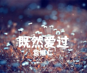 《既然爱过吉他谱》_袁惟仁 图片谱1张