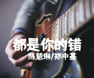 《都是你的错吉他谱》_陈慧琳/郑中基_C调 图片谱2张