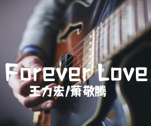 《Forever Love》