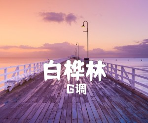 《白桦林》