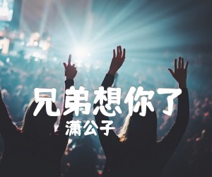 《兄弟想你了吉他谱》_潇公子_C调 图片谱3张