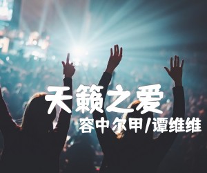 《天籁之爱吉他谱》_容中尔甲/谭维维_G调 图片谱2张