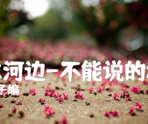 《淡水河边-不能说的秘密吉他谱》_橙子编 图片谱1张