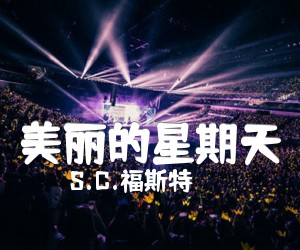 《美丽的星期天吉他谱》_S.C.福斯特_吉他图片谱1张