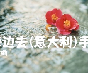 《啊,到海边去(意大利)手风琴谱吉他谱》_拿波里歌曲 图片谱1张