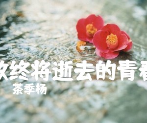 《致终将逝去的青春吉他谱》_茶季杨__G调六线谱完整版_G调_吉他图片谱2张