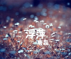 《浮萍吉他谱》_唐磊 图片谱1张