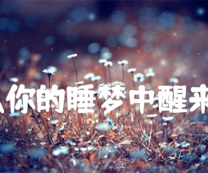 《别让我从你的睡梦中醒来（吉他谱）吉他谱》_怒雪 图片谱4张