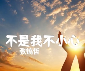 《不是我不小心吉他谱》_张镐哲 图片谱1张