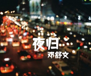 《夜归吉他谱》_邓舒文_G调 图片谱1张