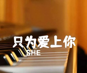 《只为爱上你吉他谱》_SHE_D调 图片谱2张