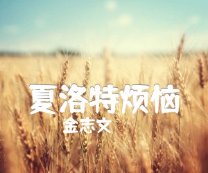 《夏洛特烦恼吉他谱》_金志文_G调 图片谱2张