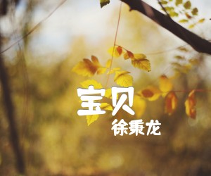 《宝贝吉他谱》_徐秉龙_D调 图片谱3张