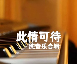 《此情可待吉他谱》_纯音乐合辑 图片谱4张