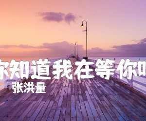 《张洪量 你知道我在等你吗吉他谱》_张洪量_吉他图片谱2张